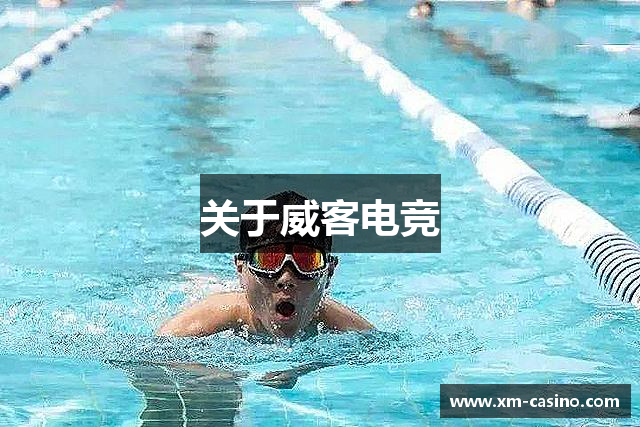 关于威客电竞